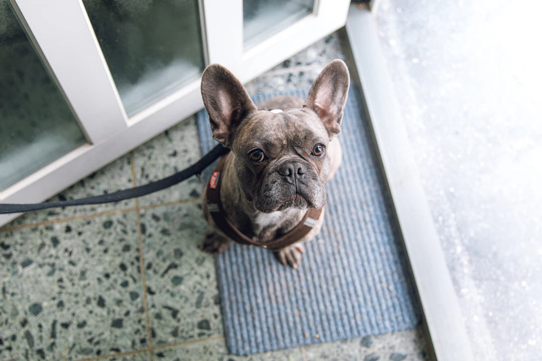Expert Tips for Maintaining Custom Printed Floor Mats